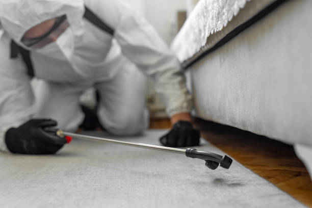 Professional Bed Bug Control technician working in Reed City, MI