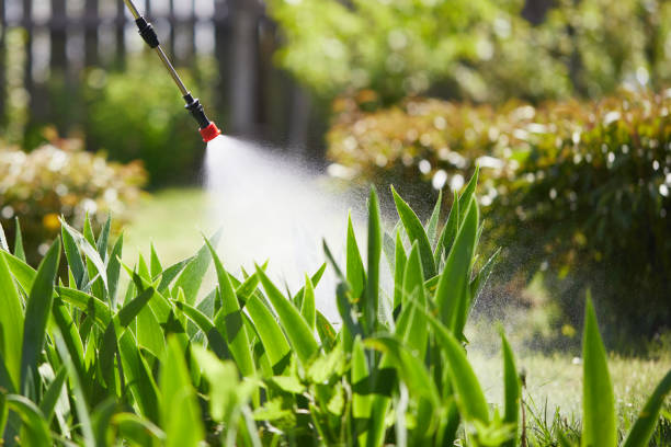 24/7 Emergency Bed Bug Control experts in Reed City, MI
