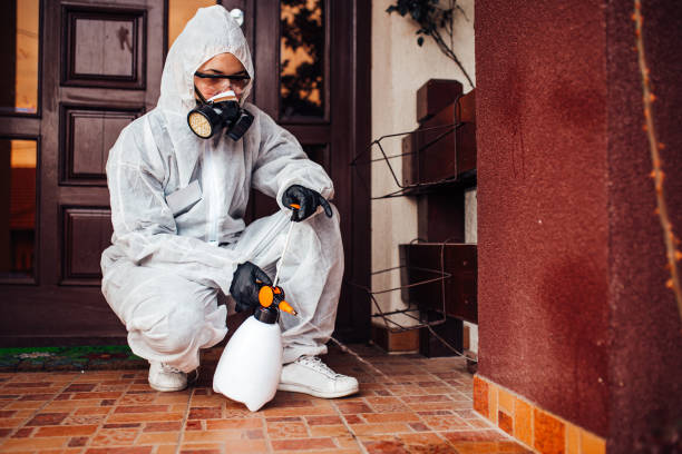 Reliable Bed Bug Control contractor in Reed City, MI by Nex Pest Control