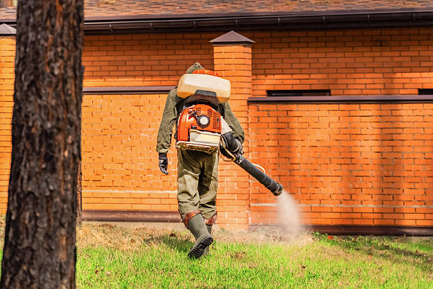 Trusted Bed Bug Control service in Reed City, MI - Nex Pest Control